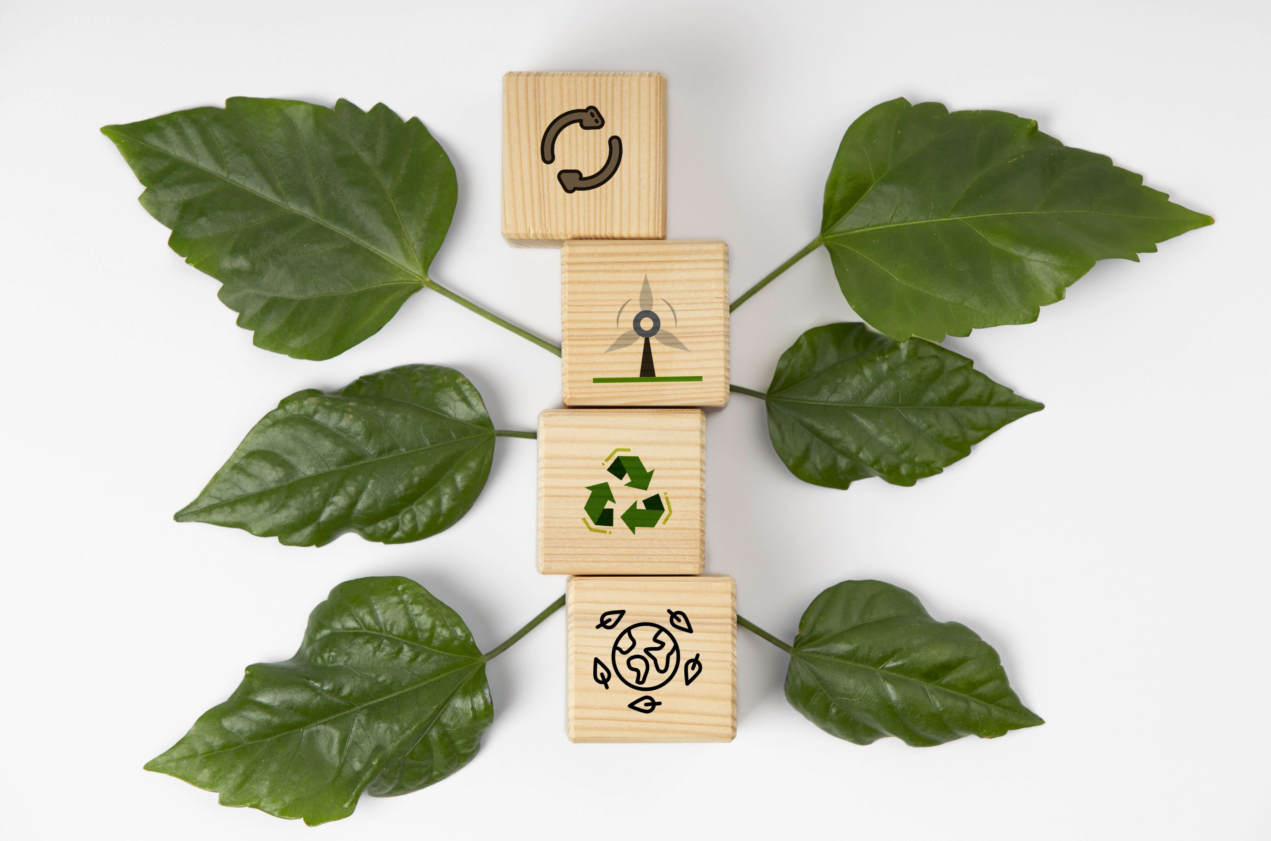 Life Cycle Assessment